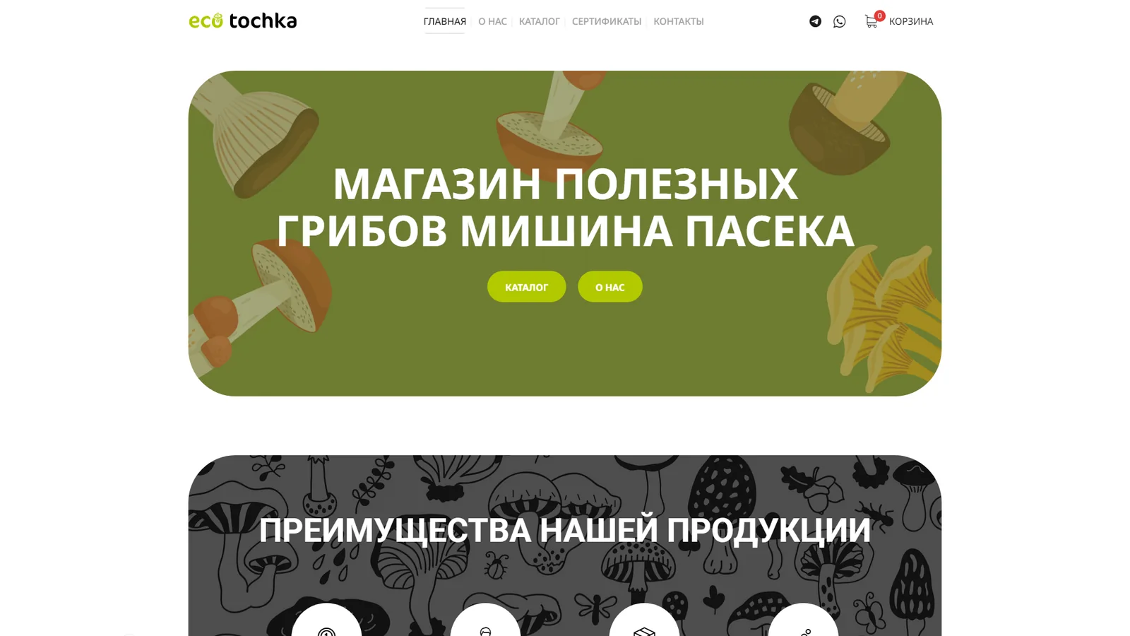 Eco Tochka